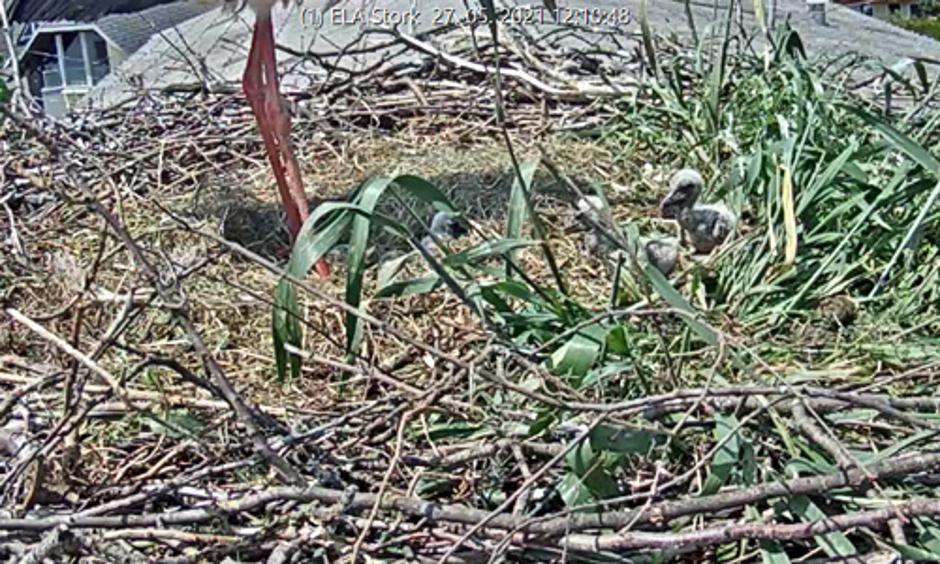  | Avtor: OŠ Predoslje Kranj