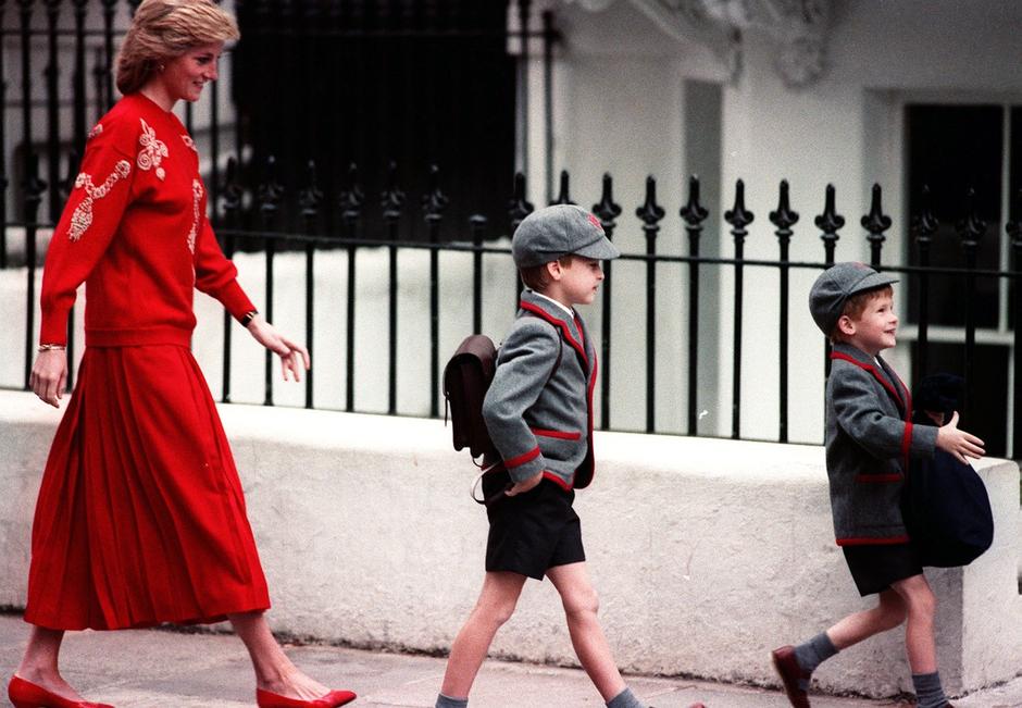 princesa Diana, princ harry, princ william | Avtor: profimedia