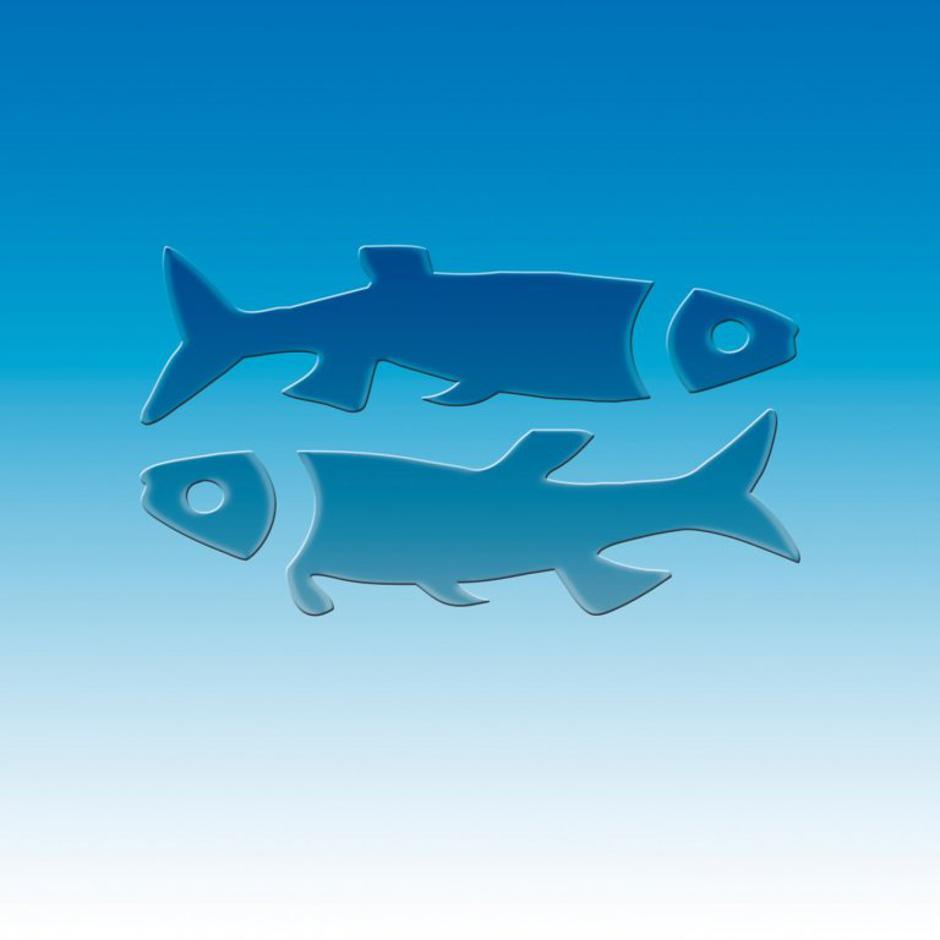 ribi | Avtor: Profimedias