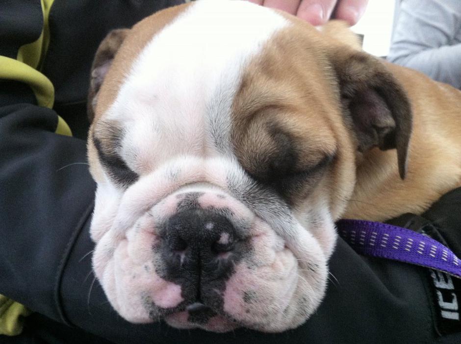 bunka | Avtor: Andreja Cilenšek