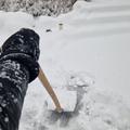 sneg kidanje lopata