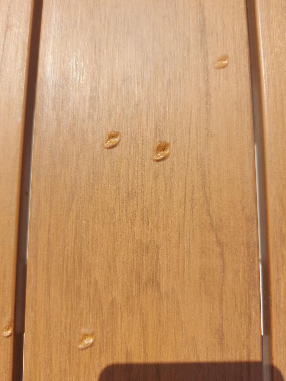 vrtna miza | Avtor: Bralec