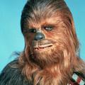 peter mayhew