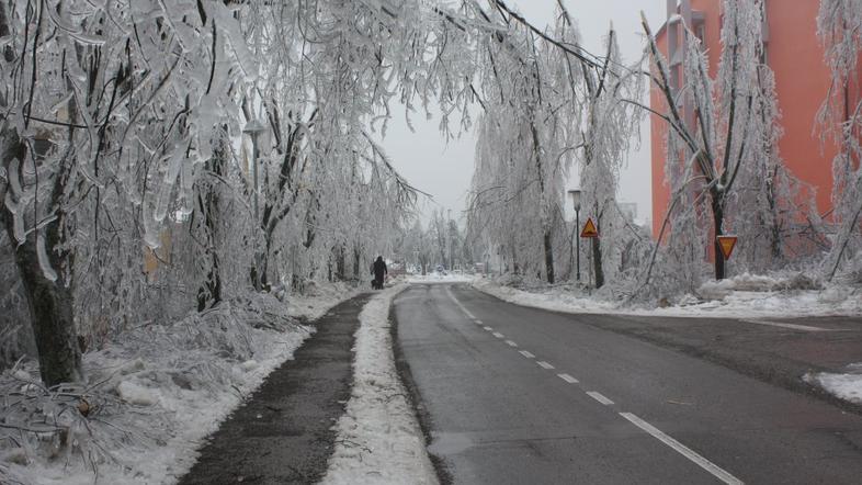 Snežna ujma v Postojni