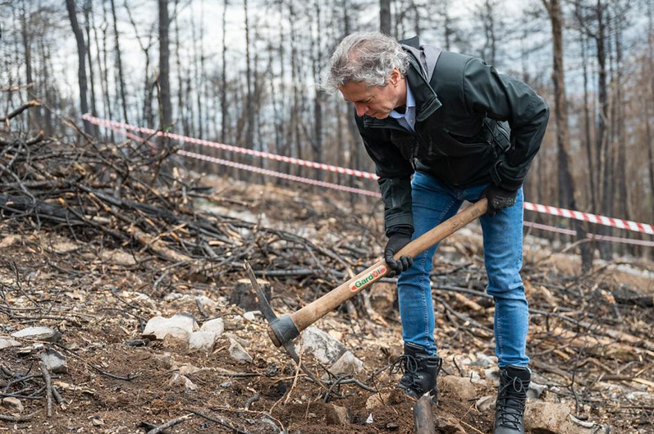 Robert Golob na Krasu