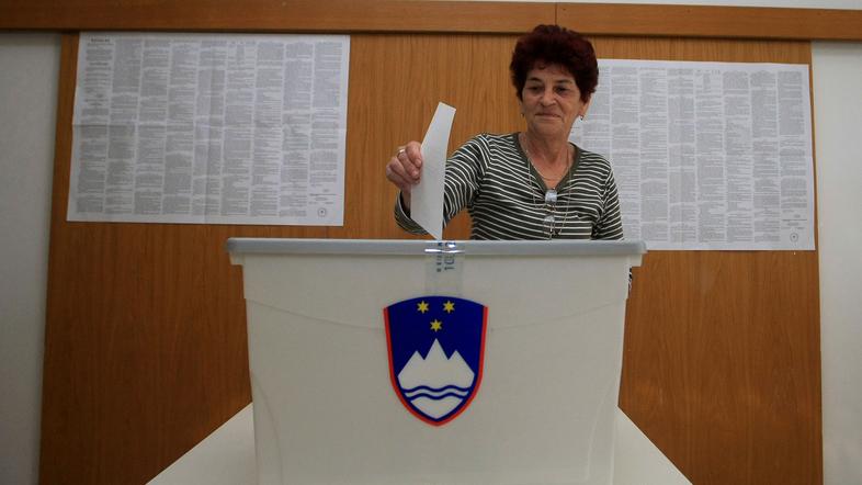 malo delo, referendum, volivci, glasovanje, volilna skrinjica, volišče