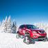 Nissan rogue warrior