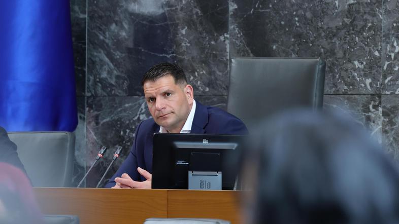 Državni zbor, Zoran Stevanović