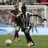 (Newcastle United : Maritimo Funchal)