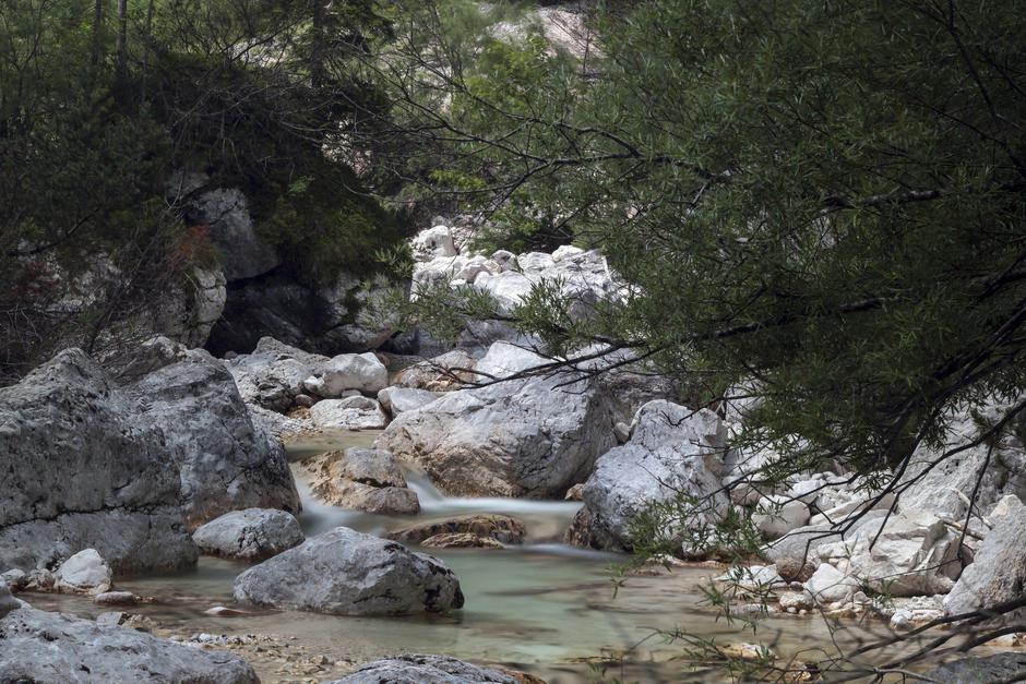 Vrata | Avtor: Profimedia