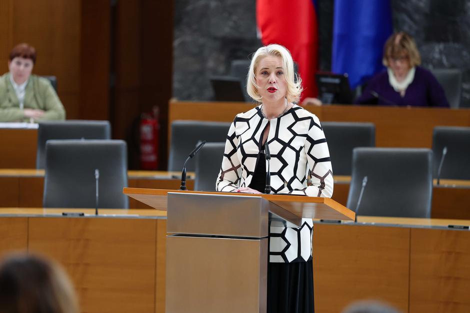 ustanovna seja DZ | Avtor: Saša Despot