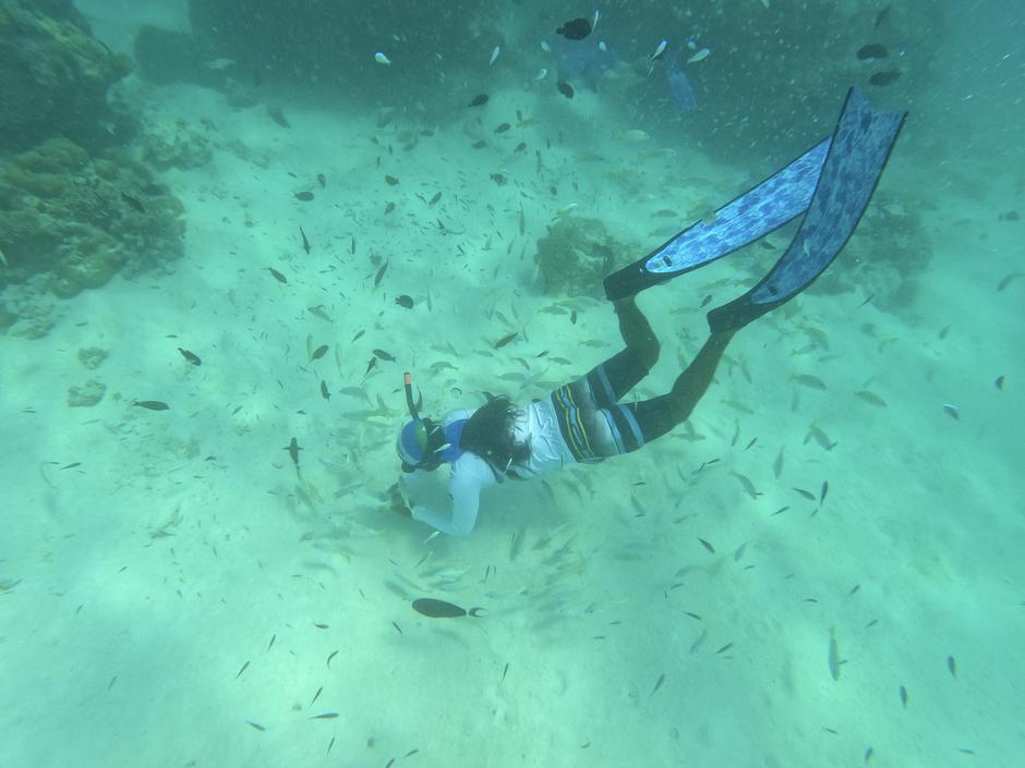 Ma-al | Avtor: Andreja Cilenšek