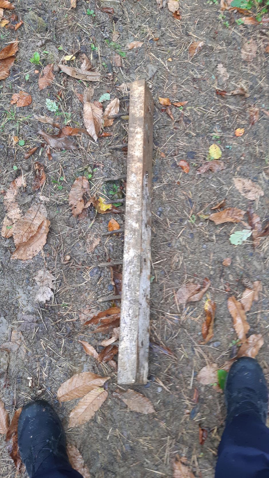 kavlji lesena plata | Avtor: PP Ruše