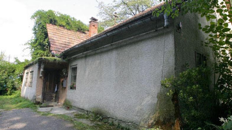 Sin je osumljen, da je svojo mamo s kovinsko berglo in kovinskim ročajem metle v