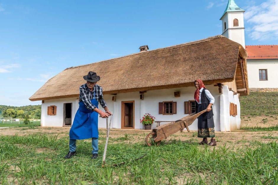 Park dediščine Cirkulane | Avtor: Park dediščine Cirkulane