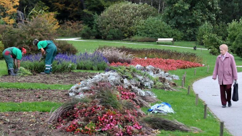 (Foto: Dejan Mijovič)