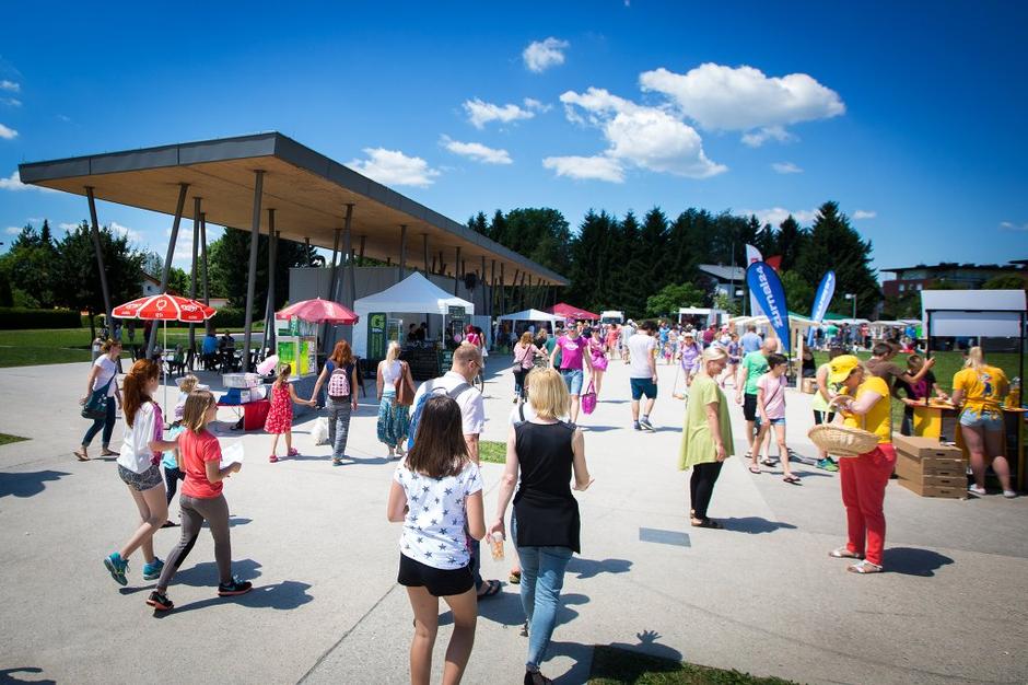 Festival za ljubitelje živali | Avtor: Kjara Kocbek