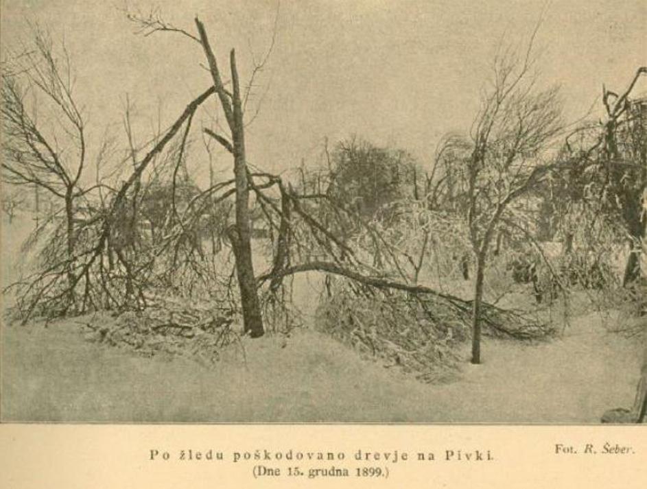 Pivka 1889