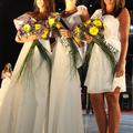 Miss Alpe Jadran