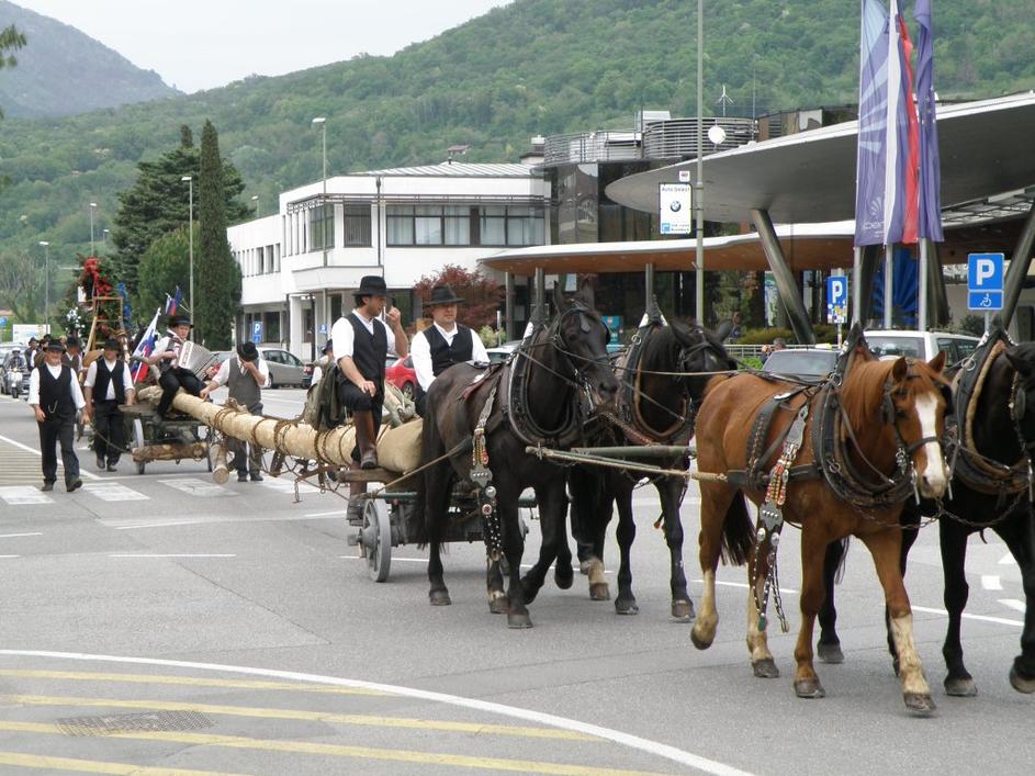 Mlaj v Novi Gorici