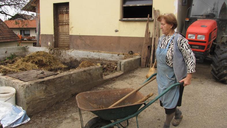 slovenija 07.11.13. Dolenjska, starejsa kmetica pri delu, kmetija, foto: Jerca B