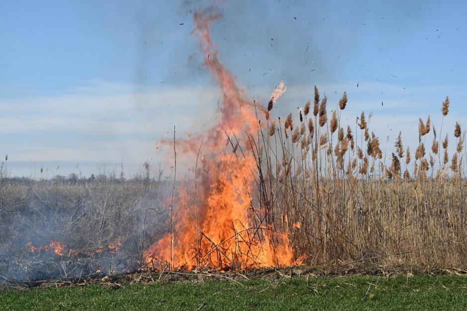 Travniški požar | Avtor: Profimedias