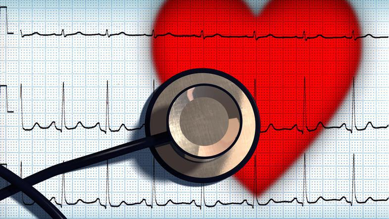 (Foto: Shutterstock)