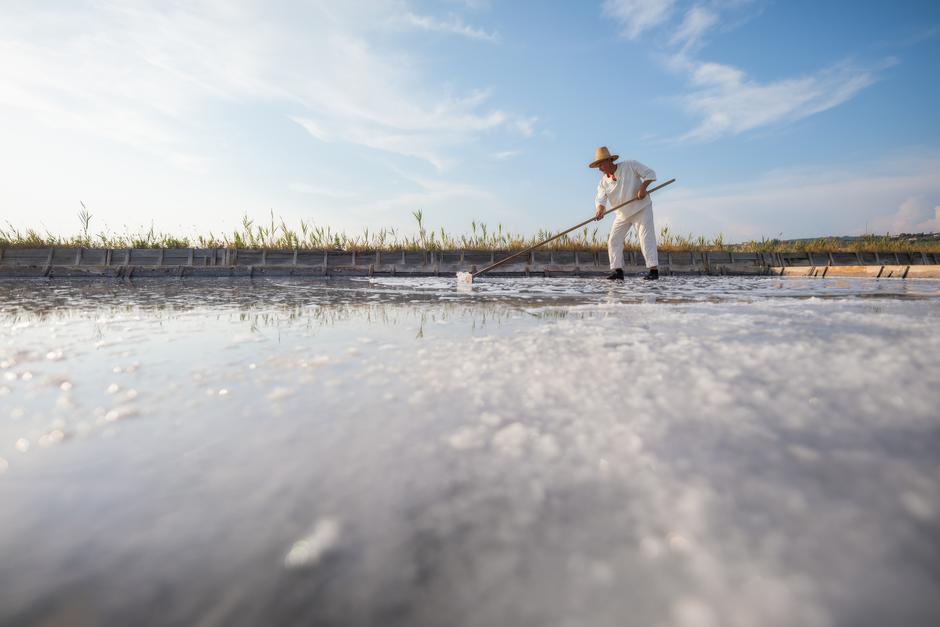 LifeClass | Avtor: Jaka Ivančič Last: Turistično združenje Portorož