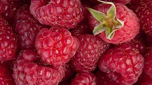 maline