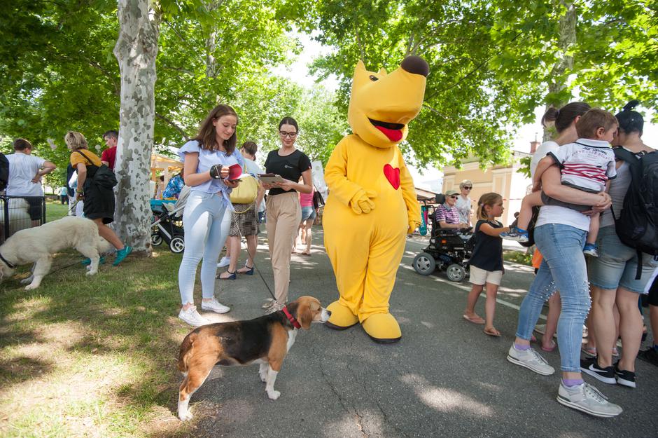 Festival za ljubitelje živali v Novi Gorici | Avtor: Anže Petkovšek