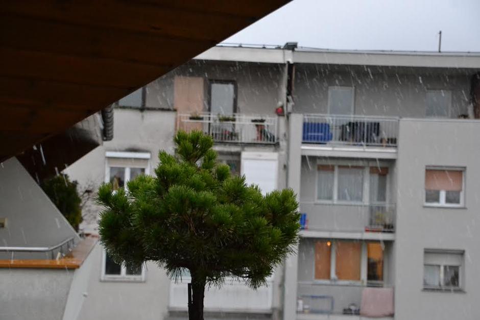 Kamnik sneg | Avtor: G. P.