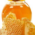 Propolis dobijo iz sten satja. (Foto: Shutterstock)