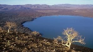 Jezero Turkana v Keniji med najbolj kritičnimi zaradi podnebnih sprememb