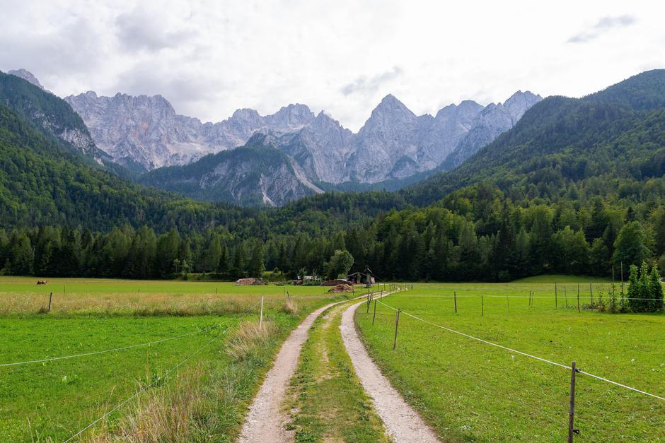 Gozd Martuljek | Avtor: Profimedia