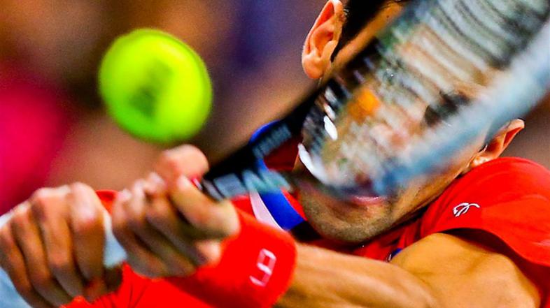 Djoković Đoković Štepanek Davisov pokal finale Beograd