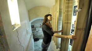 slovenija 30.05.13, Hostel Celica, Celica, 10 let Celice 2003-2013, otvoritev mu