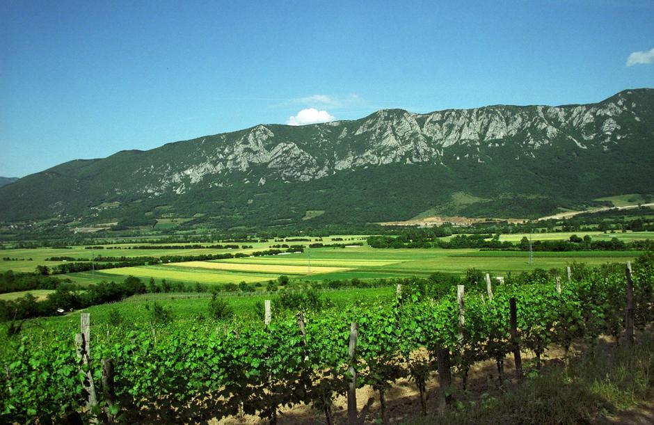 Vipavska dolina | Avtor: Profimedia