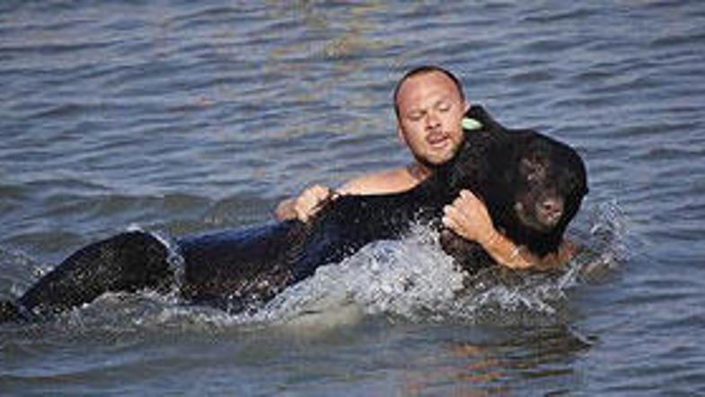Warwick ni pomišljal, ko je šlo za življenje medveda.