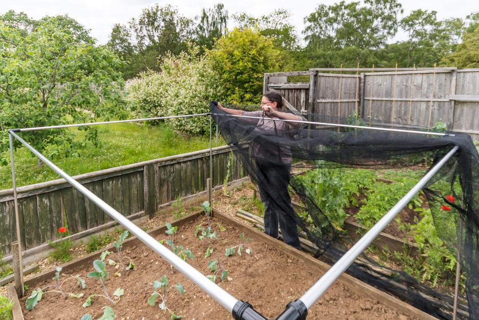 zelenjavni vrt | Avtor: Profimedia