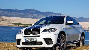 BMW X6 Performance