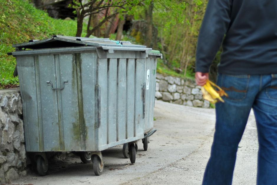 hRUSTOVO, NAPAD MEDVEDA, MEDVED | Avtor: Žurnal24 main