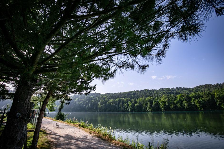 zbiljsko jezero | Avtor: Saša Despot