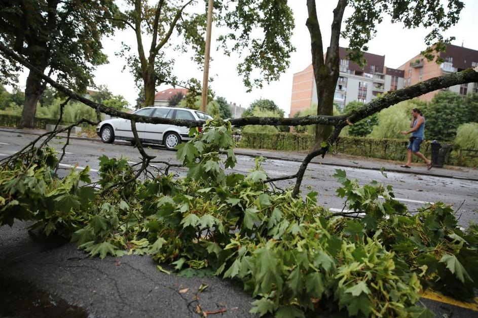 Neurje v Ljubljani