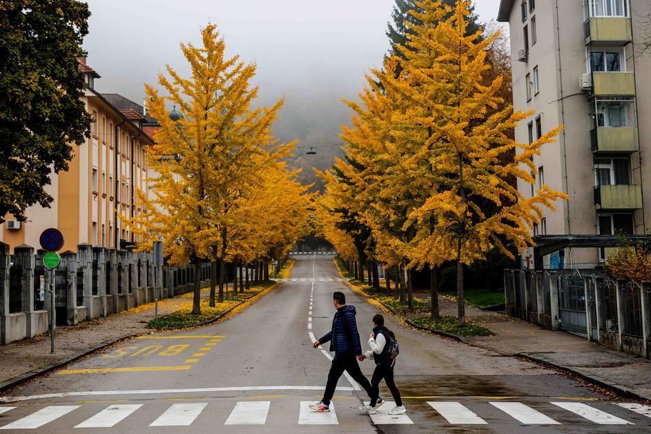 ulica, jesen, jesenske barve