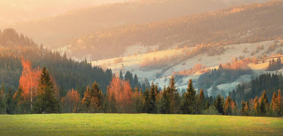 pomlad vreme slana narava