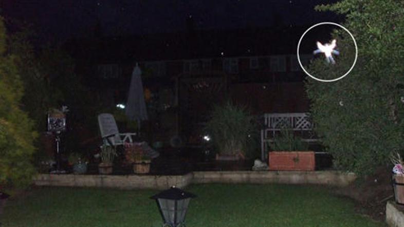 Igra svetlobe ali pravljična vila?