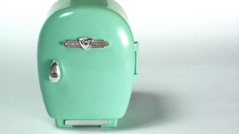 Hladilnik naj bo vedno čist. (FOTO: iStockphoto)