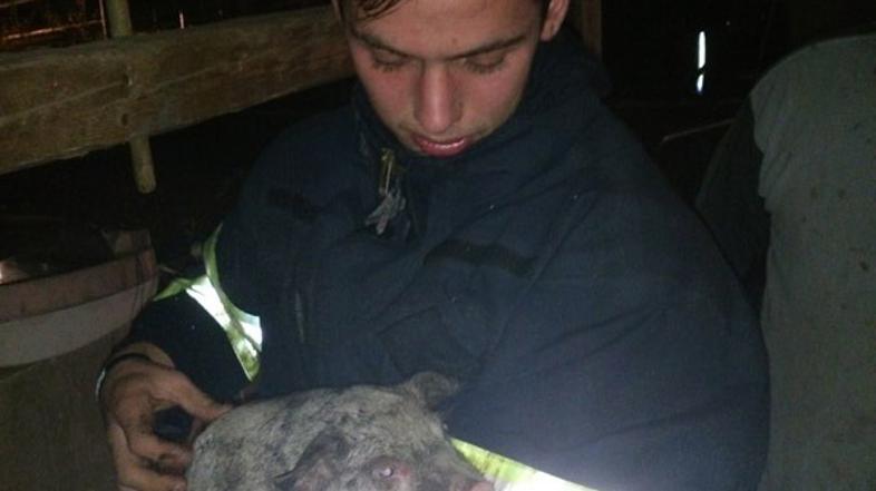 požar gašenje gasilci Ivančna Gorica