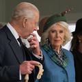 kralj karel, kraljica camilla