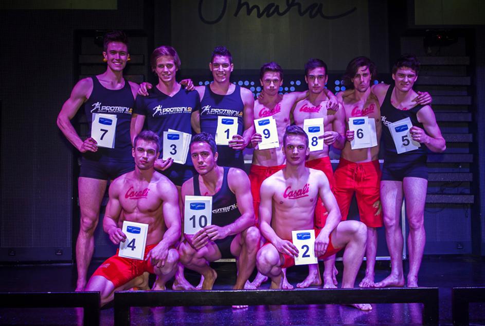 Mister Slovenije 2013